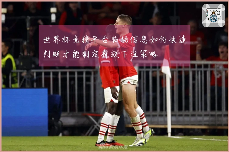世界杯竞猜平台临场信息如何快速判断才能制定有效下注策略
