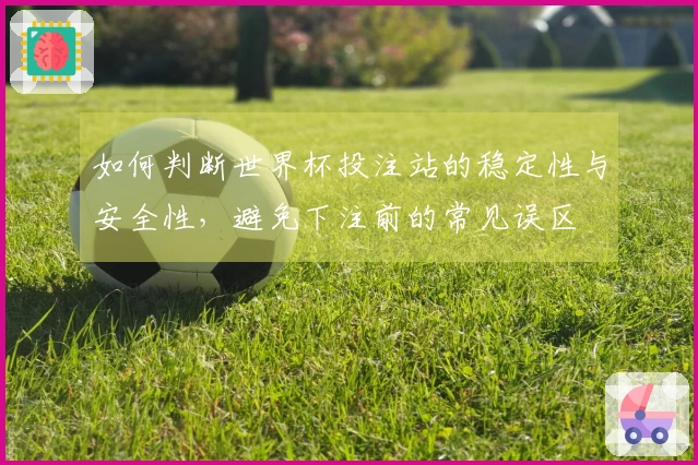 如何判断世界杯投注站的稳定性与安全性，避免下注前的常见误区