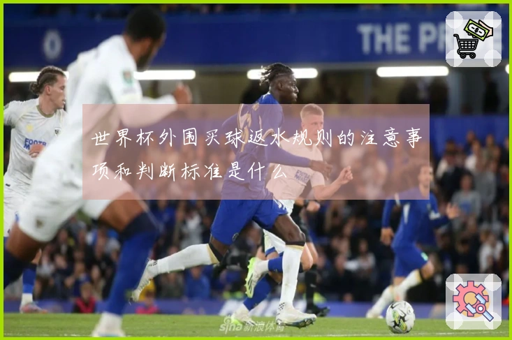 世界杯外围买球返水规则的注意事项和判断标准是什么