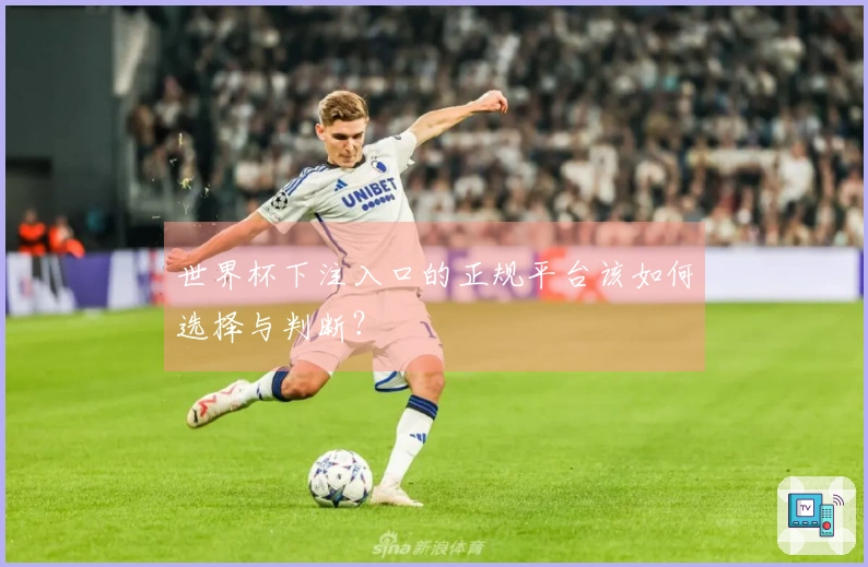世界杯下注入口的正规平台该如何选择与判断？