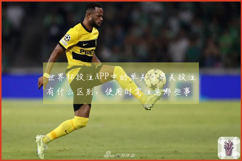 世界杯投注APP中的单关与串关投注有什么区别，使用时需注意哪些事项？