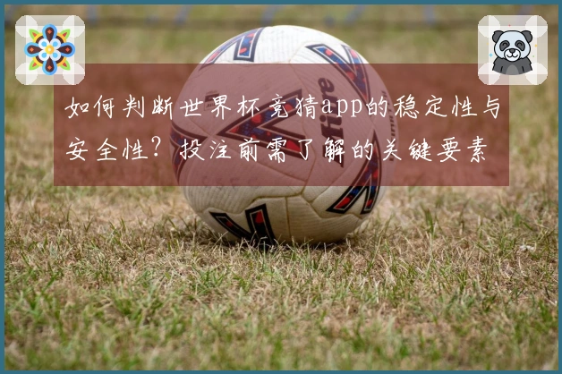 如何判断世界杯竞猜app的稳定性与安全性？投注前需了解的关键要素