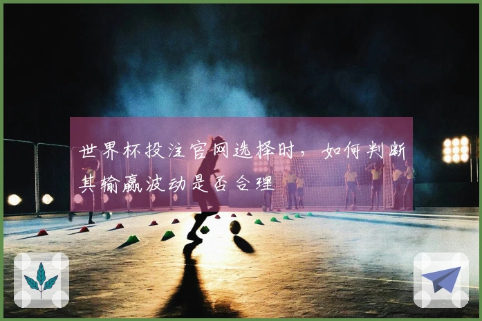 世界杯投注官网选择时，如何判断其输赢波动是否合理