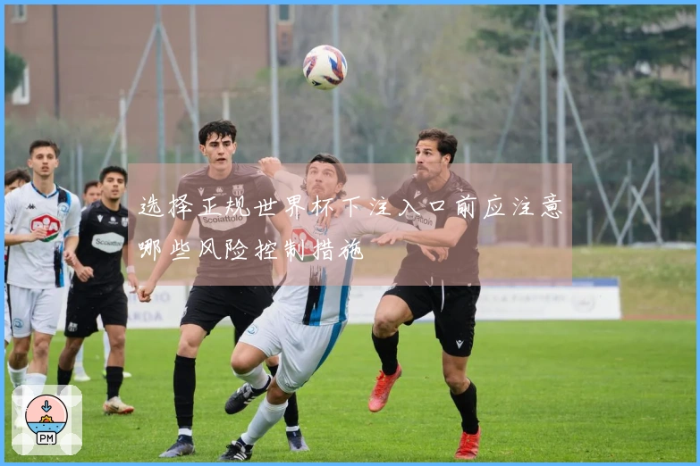 选择正规世界杯下注入口前应注意哪些风险控制措施