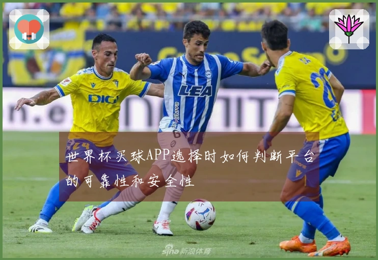 世界杯买球APP选择时如何判断平台的可靠性和安全性