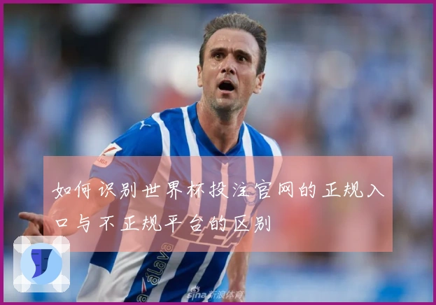 如何识别世界杯投注官网的正规入口与不正规平台的区别
