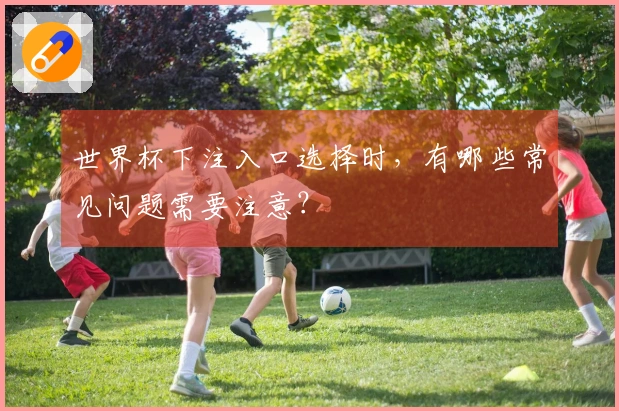 世界杯下注入口选择时，有哪些常见问题需要注意？