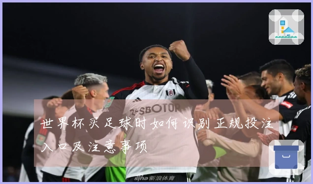 世界杯买足球时如何识别正规投注入口及注意事项