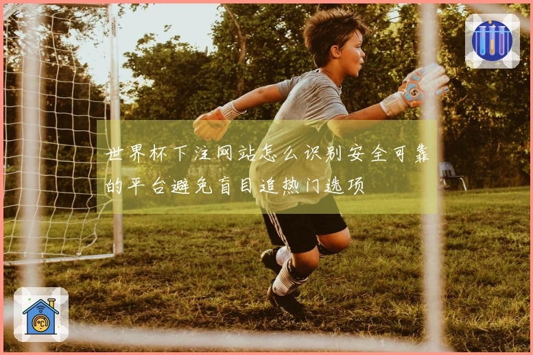 世界杯下注网站怎么识别安全可靠的平台避免盲目追热门选项