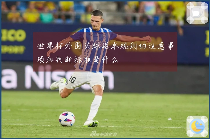 世界杯外围买球返水规则的注意事项和判断标准是什么