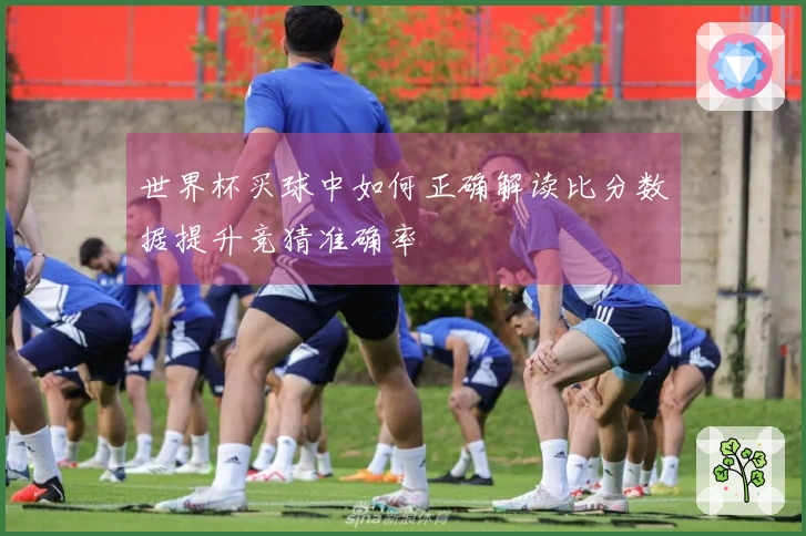 世界杯买球中如何正确解读比分数据提升竞猜准确率