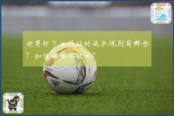 世界杯下注网站的返水规则有哪些？如何确保不被坑？