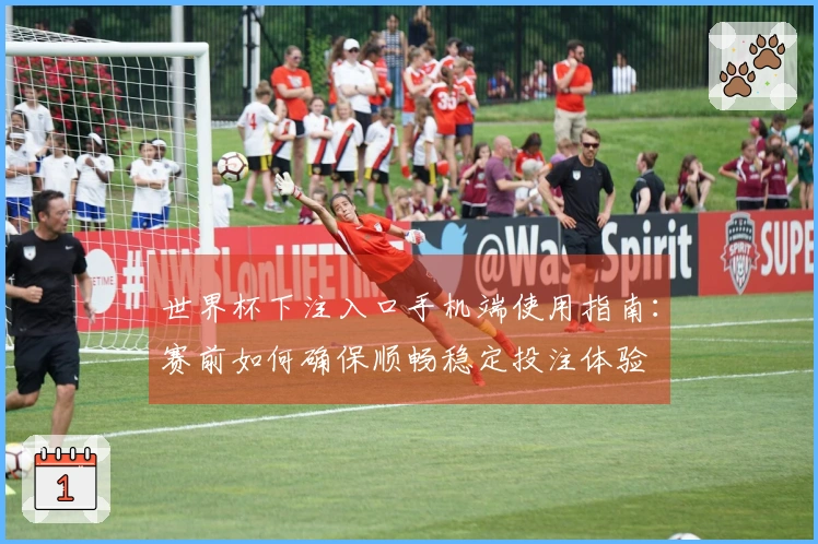 世界杯下注入口手机端使用指南：赛前如何确保顺畅稳定投注体验