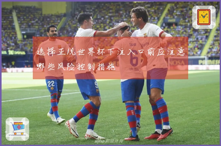 选择正规世界杯下注入口前应注意哪些风险控制措施