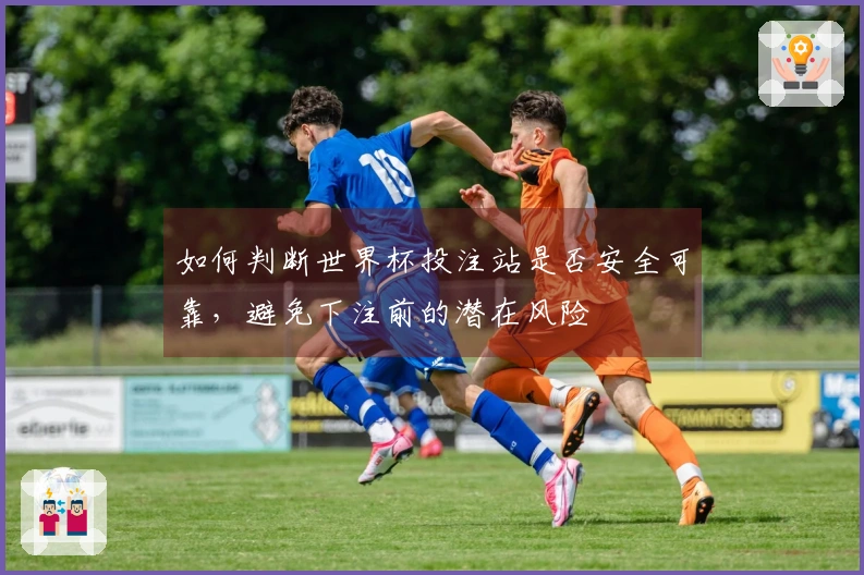 如何判断世界杯投注站是否安全可靠，避免下注前的潜在风险