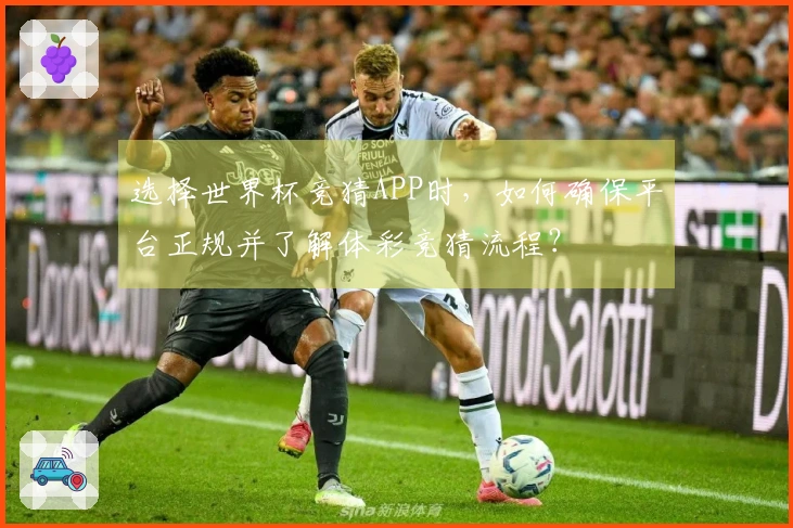 选择世界杯竞猜APP时，如何确保平台正规并了解体彩竞猜流程？