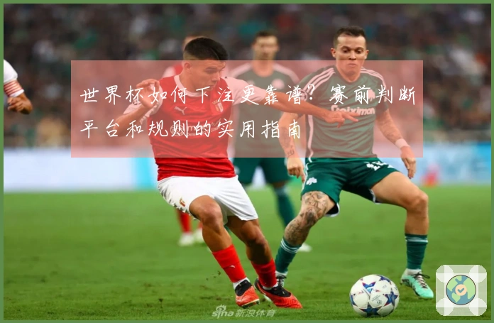 世界杯如何下注更靠谱？赛前判断平台和规则的实用指南