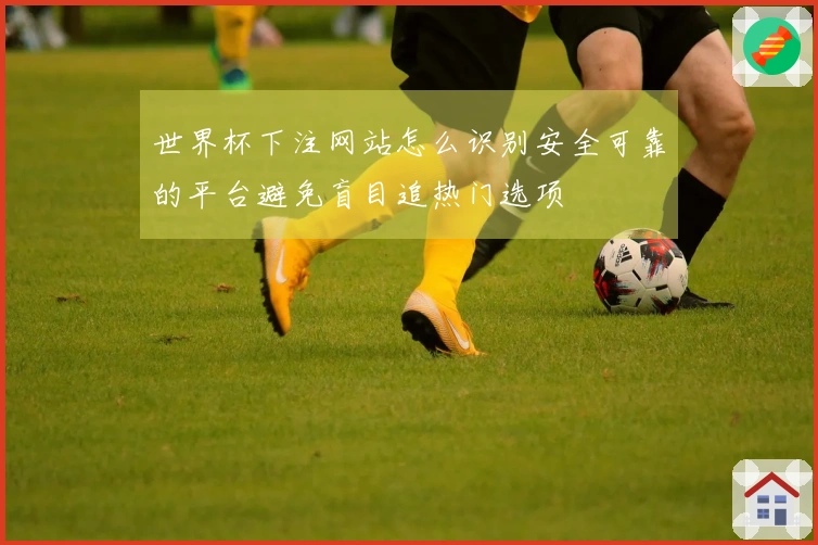 世界杯下注网站怎么识别安全可靠的平台避免盲目追热门选项