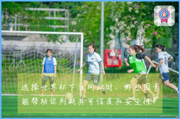 选择世界杯下注网站时，哪些因素能帮助你判断其可信度和安全性？