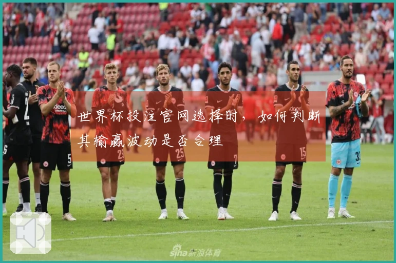 世界杯投注官网选择时，如何判断其输赢波动是否合理