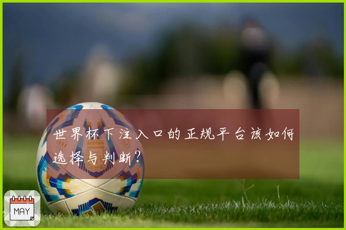 世界杯下注入口的正规平台该如何选择与判断？