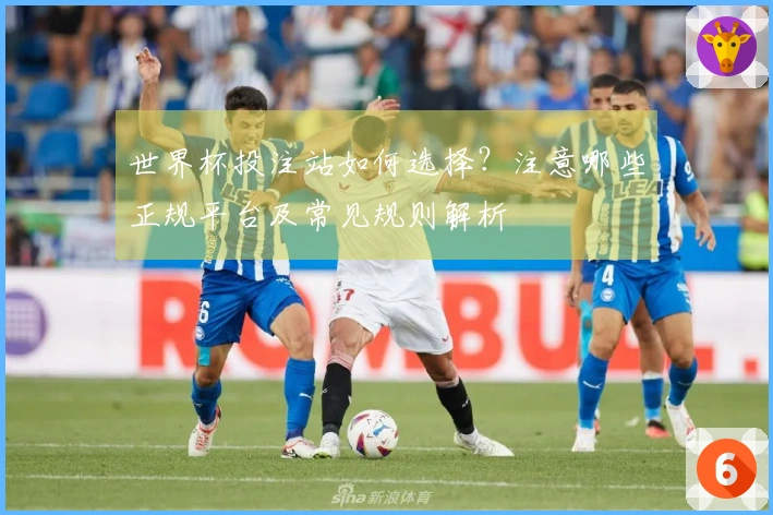 世界杯投注站如何选择？注意哪些正规平台及常见规则解析